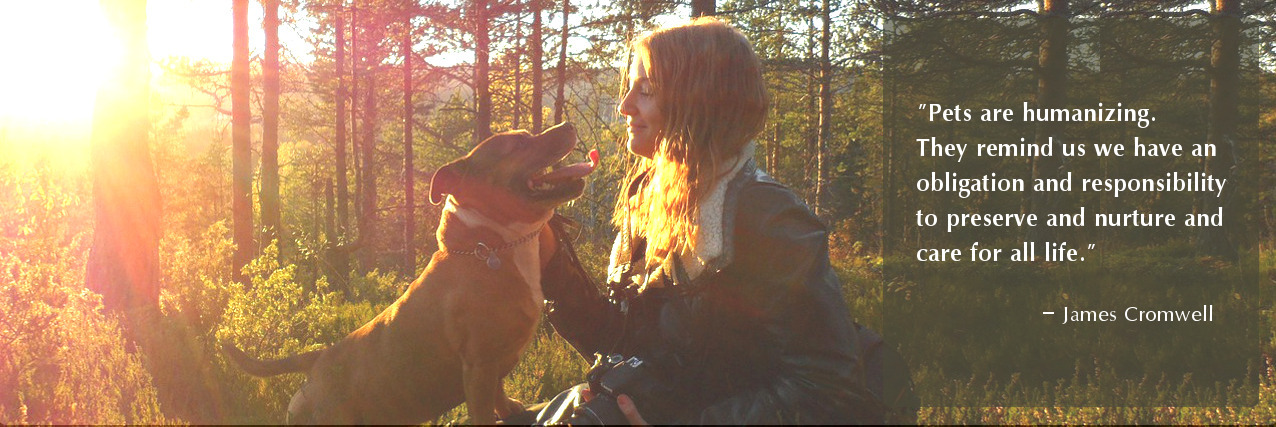 Gratitude for animals