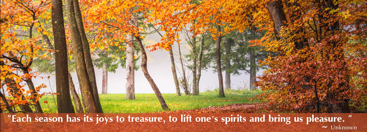 Quote: "Each season has its joys to treasure, to lift one's spirits and bring us pleasure." - Unknown