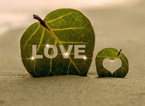 Day 30z gratitude-love